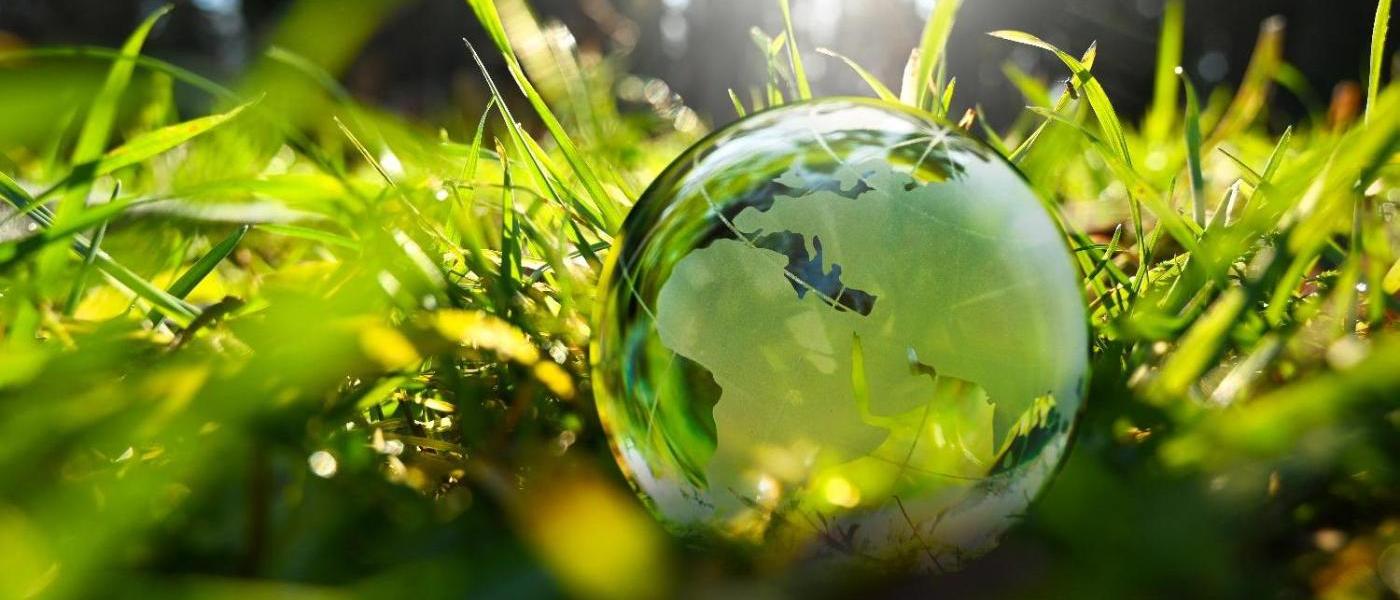 Ein Foto zeigt eine gläserne Erdkugel auf einer grünen Wiese. Quelle: JOE LORENZ DESIGN/stock.adobe.com Ein Foto zeigt eine gläserne Erdkugel auf einer grünen Wiese. Quelle: JOE LORENZ DESIGN/stock.adobe.com